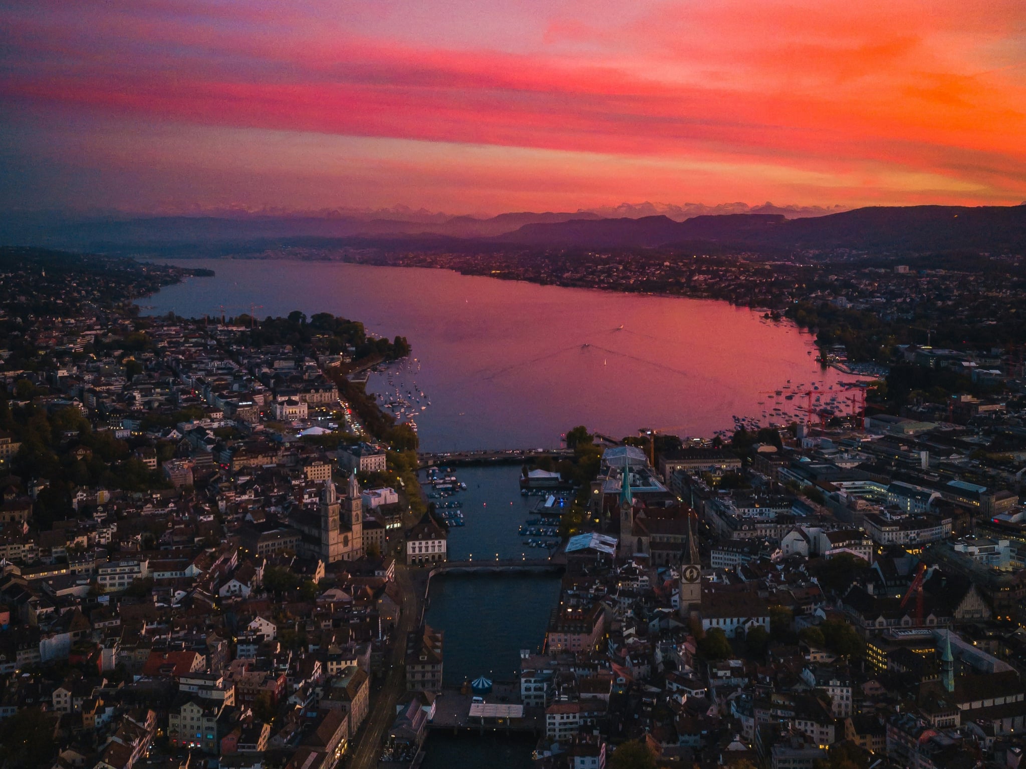 Frankencoin treasury solution